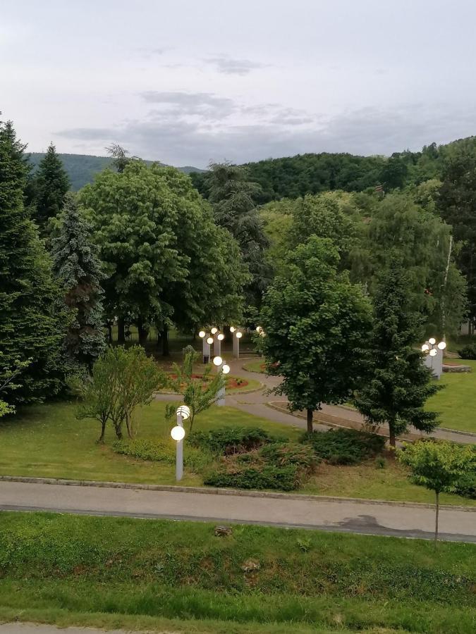 Koko Apartman Vrnjačka Banja Exterior foto