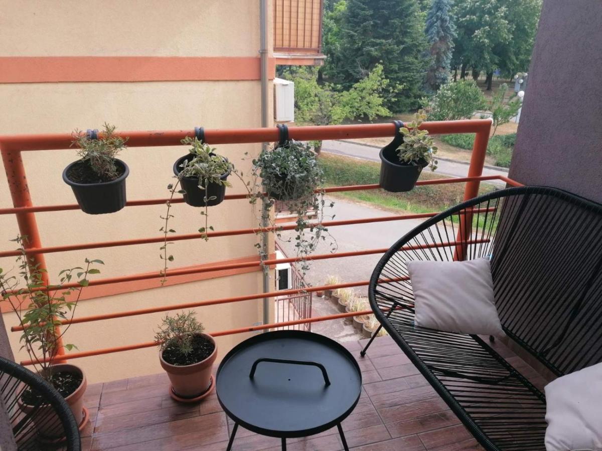 Koko Apartman Vrnjačka Banja Exterior foto