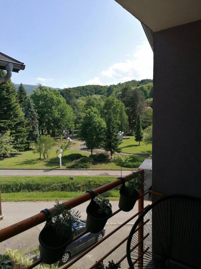 Koko Apartman Vrnjačka Banja Exterior foto